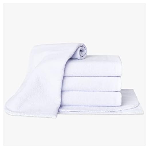 Kit 10 Panos de Chão Duplo Limpeza Doméstica Saco 42cmX66cm (Branco)