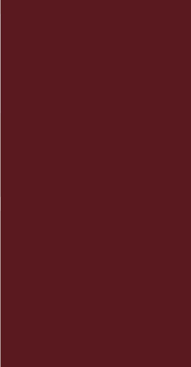 2K Spray Can with Hardener (RAL 3005 Wine red)