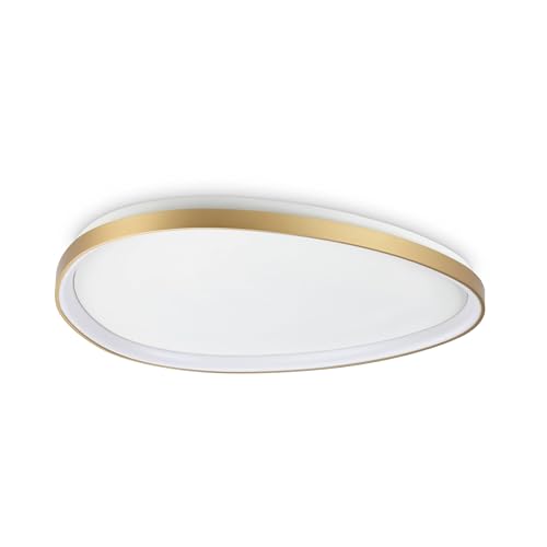 Plafonnier LED GEMINI 81cm Ambiance Chaleureuse Cuisine et Séjour