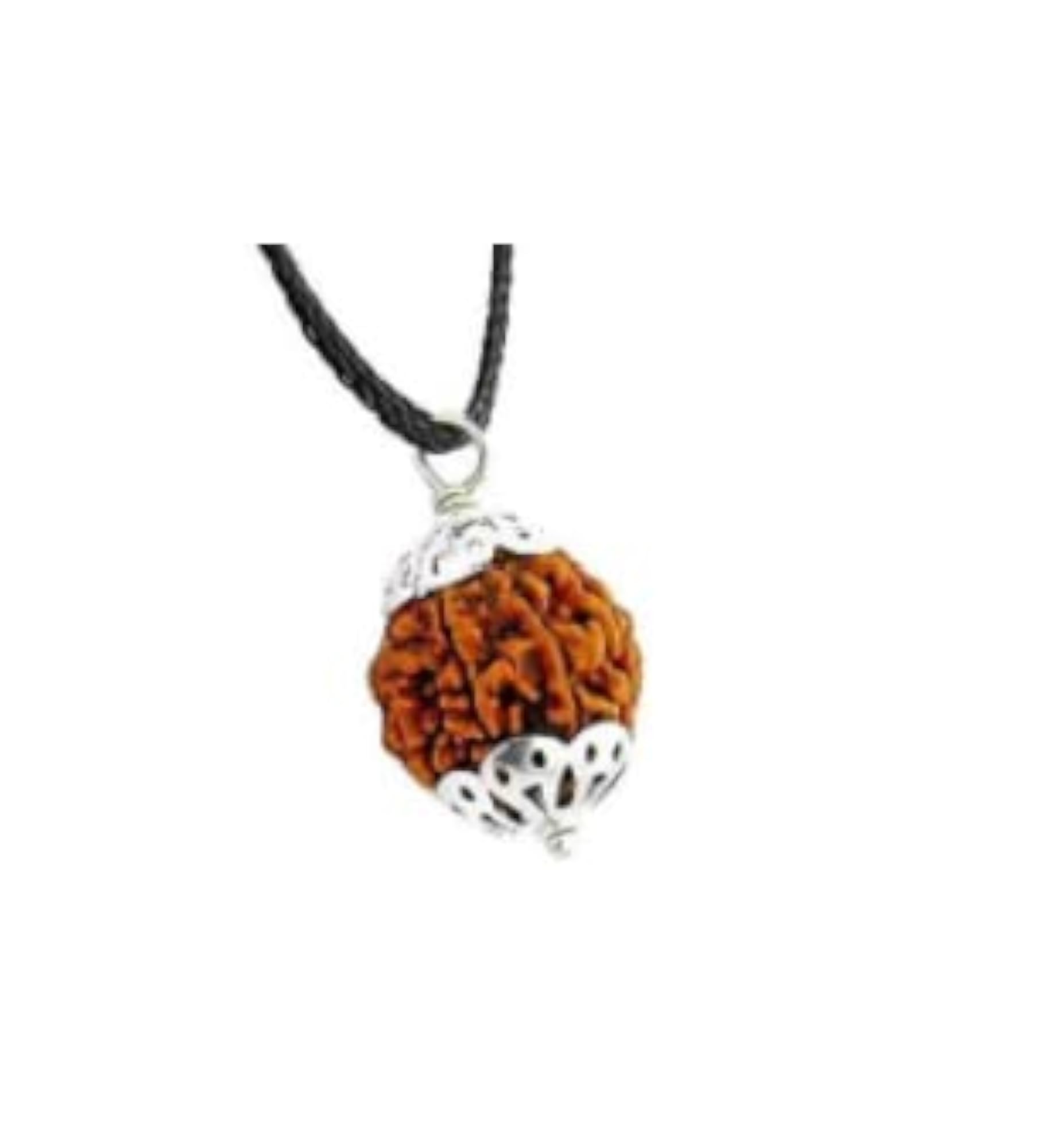 13 Mukhi Rudraksha Nepal With Silver Capping