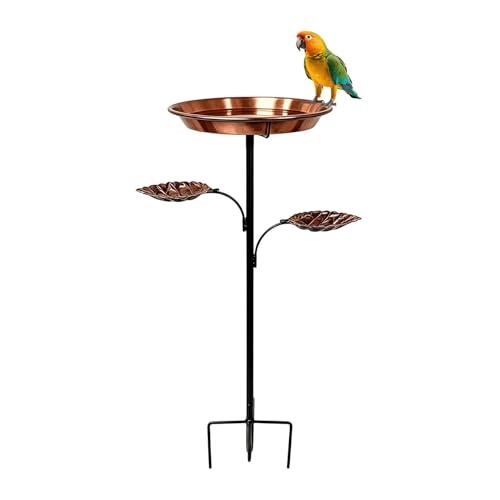 Bain d'oiseaux décoratif résistant pour animer votre terrasse