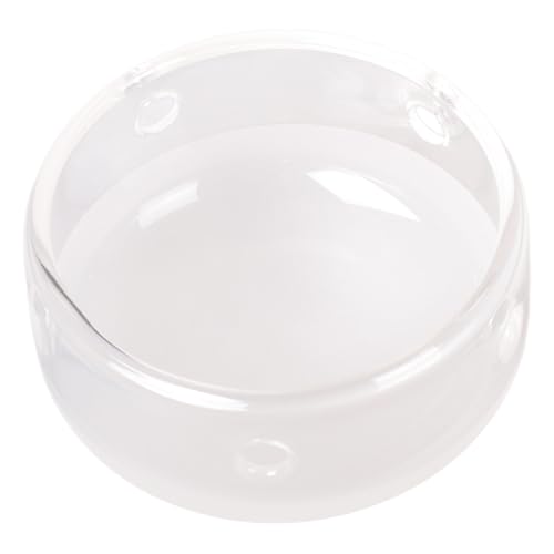 Tube clignotant 300 W dôme en verre haute fidélité AD300pro