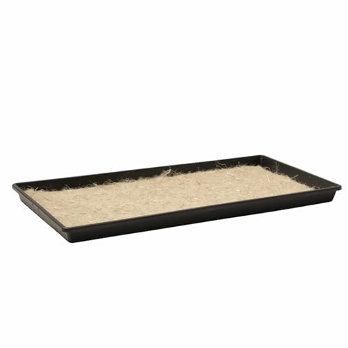 Bootstrap Farmer Microgreen 1020 Trays, Shallow Extra Strength 30 Pack Seed Tray with Holes - Grow Fodder, Wheatgrass, Sprouting, Plants Growing
