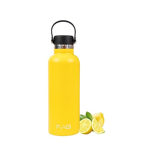 FAB Stainless Steel Water Bottle - 620ml (21oz) Sweat Free Vacuum Insulated Flask with Standard Mouth Leak Proof Flex Cap (Lemon) - BPA-Free FAB Stainless Steel Water Bottle - 620ml (21oz) Sweat Free Vacuum Insulated Flask with Standard Mouth Leak Proof Flex Cap (Lemon) - BPA-Free