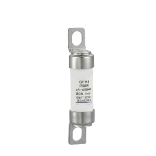 Fusibles rapides en céramique CFH4 RGS4 avec pattes de fixation robustes 80A