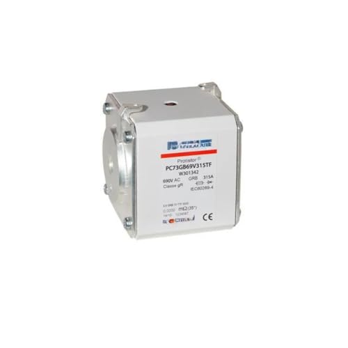PC73GB69V800TF fusible de remplacement D301717 pour armoire électrique industrielle