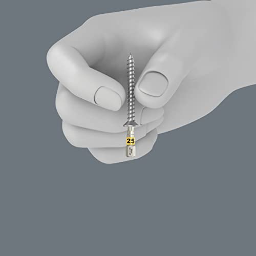 Wera - 05057436001 - Assortimento Inserto, Bit-Check 30 Legno Tx Hf 1, 30 Pezzi - 5