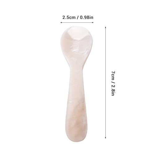 Cucharas pequeñas de concha natural blancas, artesanía sofisticada para servir 8