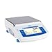 Radwag PS 10100.X2.M Precision Balance