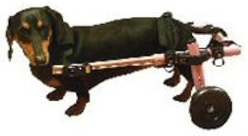 Amazon | 小型犬用の車椅子（ミニチュア・ダックスフンド、トイ