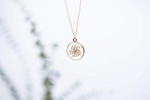 Olive Bella™ Handmade Pressed White Flower Necklace For Women Queen Anne's Lace 14K Gold Filled Chain 18 Inches #TOP6