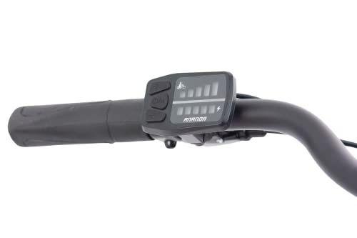 Fahrrad mit Nabenschaltung F.lli Schiano E-Moon E-Bike