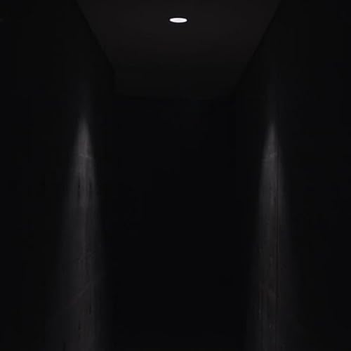 Ep. 1 : Dark Web - What to Expect