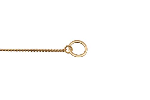Alvalley Metal Chain Dog Show Collar - Pet Slip Collar For Shows - Fine Brass Snake Choke Chain Collar - Adjustable For Toy, Small, Medium, Large, And Extra Large Dogs (Gold, 22", 1.8Mm Thick) #TOP2