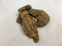 Radix et Rhizoma Rhei｜Da Huang｜大黄｜Rheum palmatum L