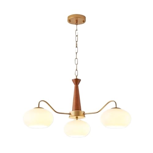 Lustre suspension moderne pour éclairer un couloir ou une chambre