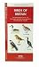 Birds of Britain: A Folding Pocket Guide to Familiar Species of England, Scotland & Wales (A Pocket Naturalist Guide)