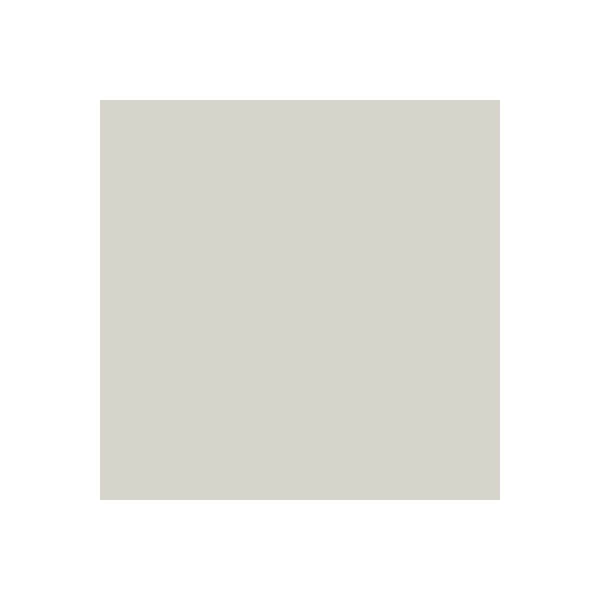 ARCANE INDUSTRIES Peinture façade pliolite pour Mur extérieur, crépi - Peinture Hydrofuge Solvantée - ARCAFACADE PLIOPROTECT - 2.5 L (+ ou - 20 m² en 1 Couche) Blanc