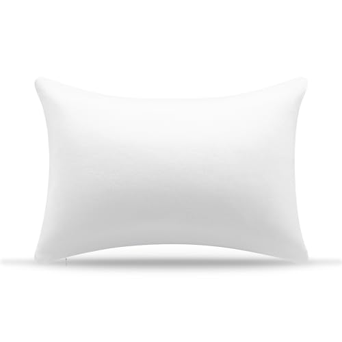 AM AEROMAX 12×20 Throw Pillow Insert
