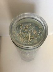 Atrayente del Dinero