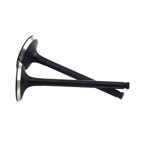 Soupape d'échappement YZ450F WR450F pour restaurer la compression