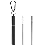 Foweroty 1 Pack Metal Straws for Cruise Ship Essentials, Travel Essentials, Reusable Straws with Aluminum Case, Cleaning Brush, and Keychains(Black)
