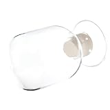 Laboratoire de récipient en verre : idéal pour cadeaux d'hôtesse, amateurs de décoration intérieure, festivités de ou toute occasion spéciale, bouteille de en verre