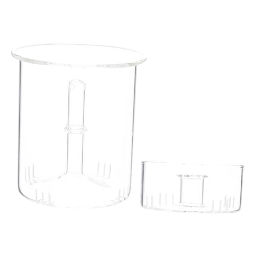 UKCOCO 1 Juego Colador De Tetera Infusor De Té De Flores Herramienta Para Hacer Té Hoja De Té Suelta Más Empinada Filtro De Té Accesorios Para Hacer Té Vidrio Transparent