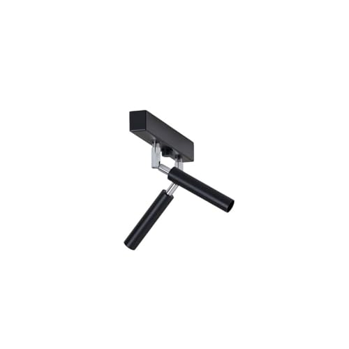Euluna Foco Nicanor en Negro hecho de Metal e.o. para Salón & Comedor (2 llamas, G9) foco empotrado lámpara techo pared