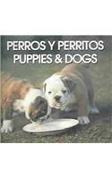 Paperback Perros Y Perritos/Puppies & Dogs (Spanish Edition) [Spanish] Book