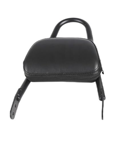 Coussin dossier arrière moto Benda LFC700 selle passager protection confort