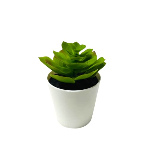 AUGEN Artificial Plant Plastic Grass Bonsai Small for Home, Office, Desktop & Garden Décor with Cement Base (Set of 4 Pots) (5350A)