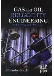 Elsevier India Gas And Oil Reliability Engineering: Modeling And Analysis book cover