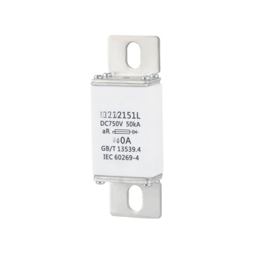 Fusible 170M 100A pour protection de forte puissance et haute tension 750V-1000V