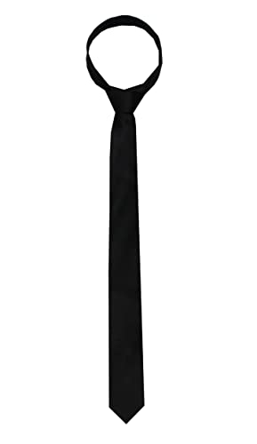 Image of TIE STUDIO Mens Formal Neckties| Standard Size | Premium fabric | Superior finishing| Packaging - Folder | Set of 1