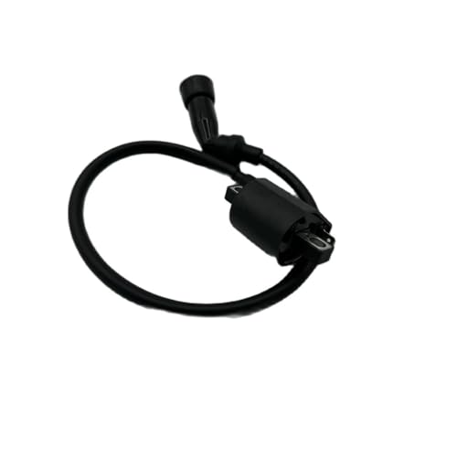 Bobina de encendido FG-802000-0, el repuesto ideal para tu moto ATV JS250