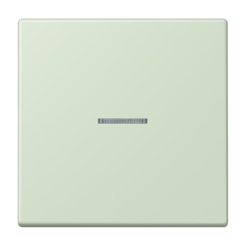 Touche JUNG HOME 1 phase pour un eclairage de salon elegant