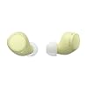 Sony WF-C510 Truly Wireless in-Ear Bluetooth Earbud Headphones with up to 2...