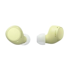 Sony WF-C510 Truly Wireless in-Ear Bluetooth Earbud Headphones with up to 2...