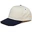 Navy/Beige