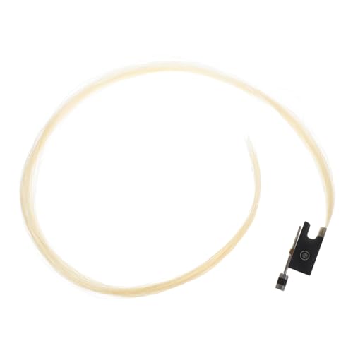 ifundom 1Zbg  |p  ̖  t S    Ƌ| ɂȊy 