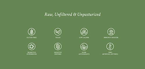 Image of Zoh Probiotics Jasmine Kombucha | Tea with detoxifying acids, and digestive enzymes. Raw, unfiltered, and unpasteurized with Mother. Made with real Jasmine flowers (330 ml, Pack of 6)