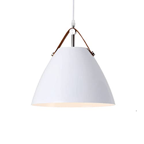 SIVAJI Luces Colgantes Tradicionales Modernas Lámpara Techo De 1 Luz para Comedor Lámpara Colgante con Pantalla Creativa Romántica De Metal para Restaurantes Accesorio Iluminación Bohemio