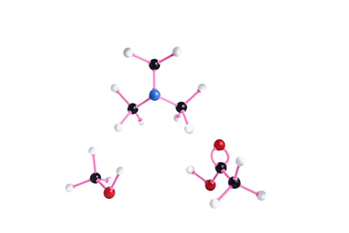 Image of Orgaanic & Inorganic Ball & Stick Molecular Model Kit