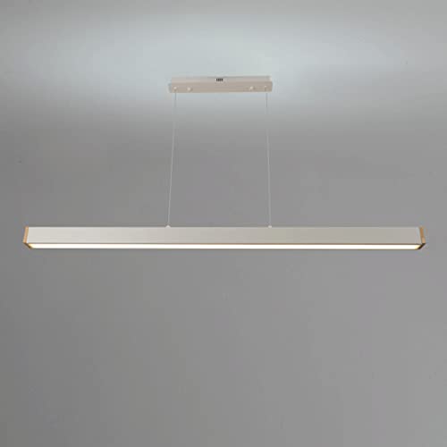 Lampe à suspension moderne à LED en acrylique, plafonnier suspendu haut de gamme en métal