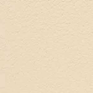 BioShield Clay Paint -- Tiramisu -- 1 Gallon