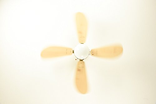 Deckenventilator CLASSIC, Flügelfarbe Pinie mit Beleuchtung-5