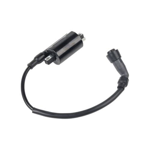 Interruptor de encendido para ATV y scooter con bobina de 12V de alta presión