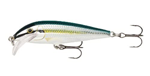 Rapala Scatter Rap Countdown