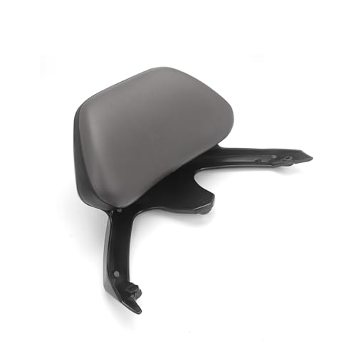 Siège Passager Dossier Arrière Coussin TMAX 530 Accessoires Moto